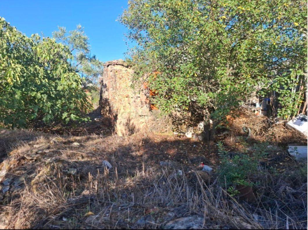 Fotografia 7 de Terreno Misto com 1.320 m² | Área Urbana + Olival | Alcaravela, Sardoal