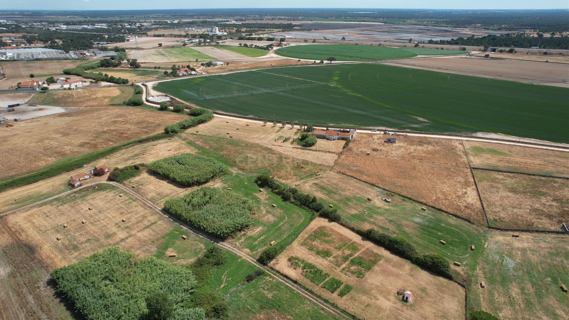 Fotografia 3 de Terreno com 8.700 m² no Rego da Amoreira — Alcochete