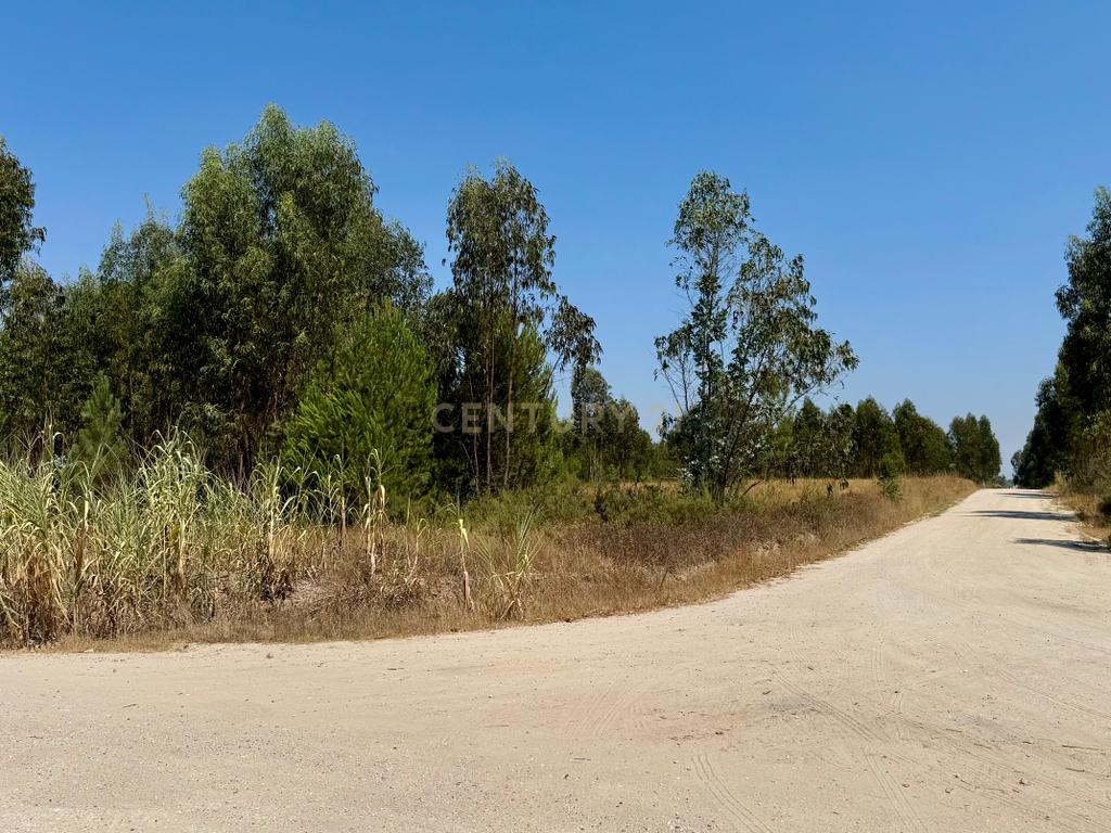 Terreno com 94.000 m2 na zona do Novo Aeroporto de Lisboa, Santo Estêvão, Benavente. Em venda! - Image 14
