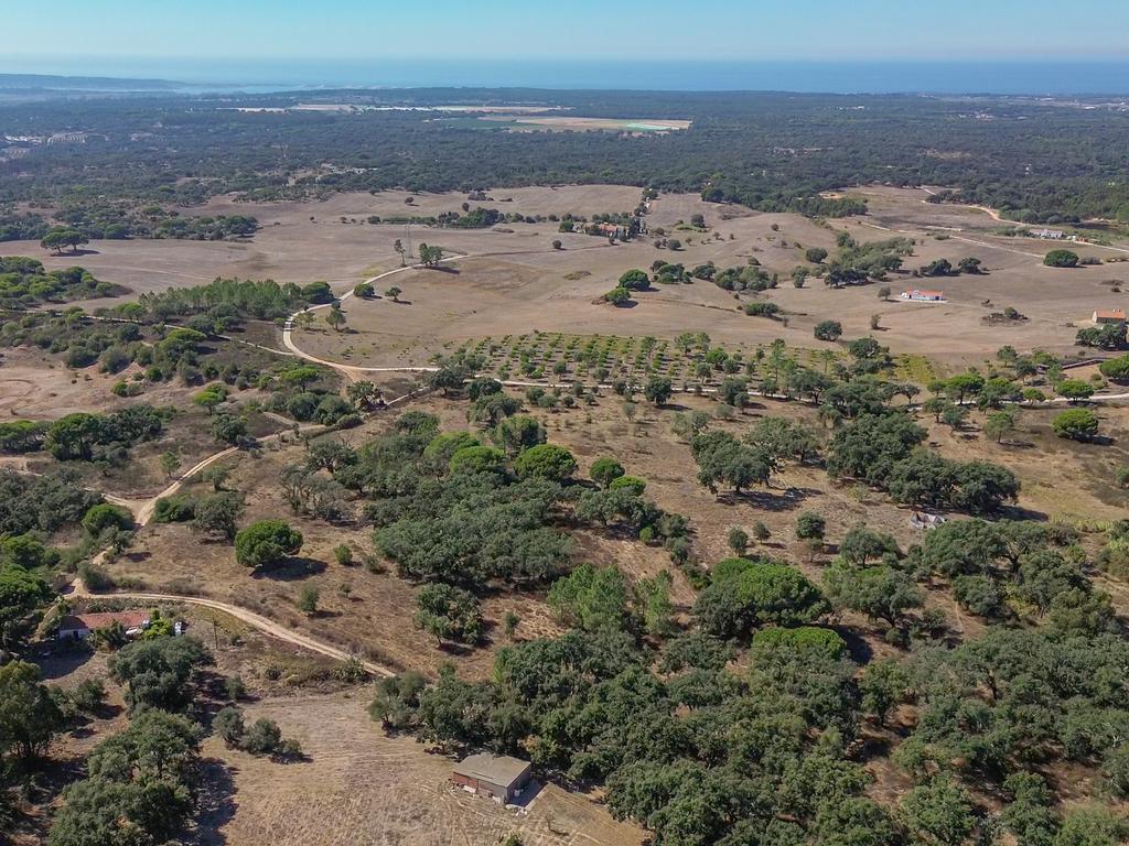 Quinta Rural T3, c/ Terreno 16,775ha, Melides, Grândola - Image 28
