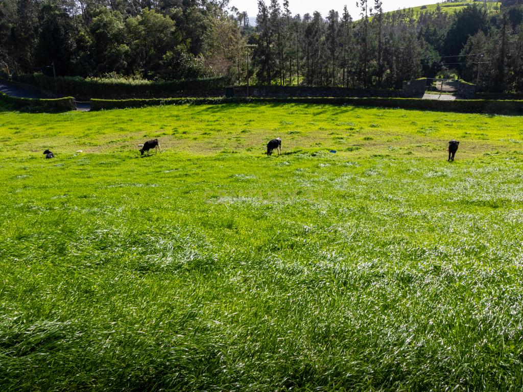 Terreno urbano para construção na Caloura, Lagoa - Vista Mar - Image 22