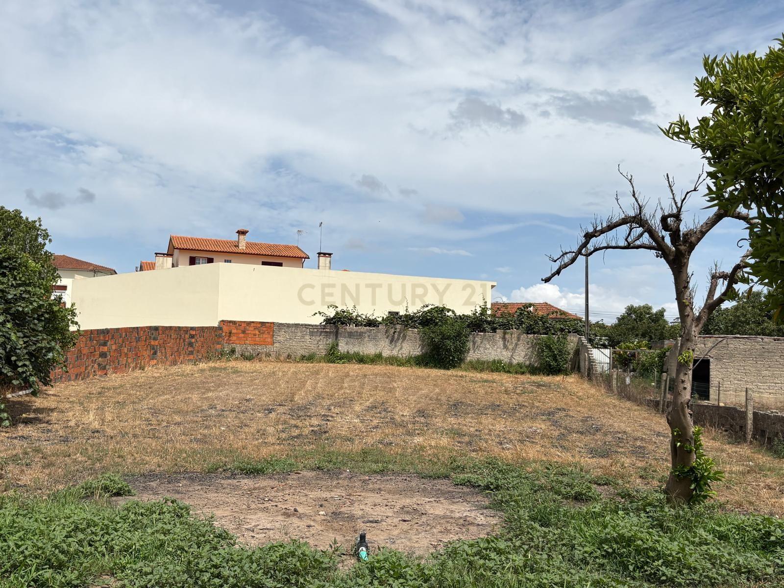 Moradia T4 à venda em Ouca, Vagos — foto 31
