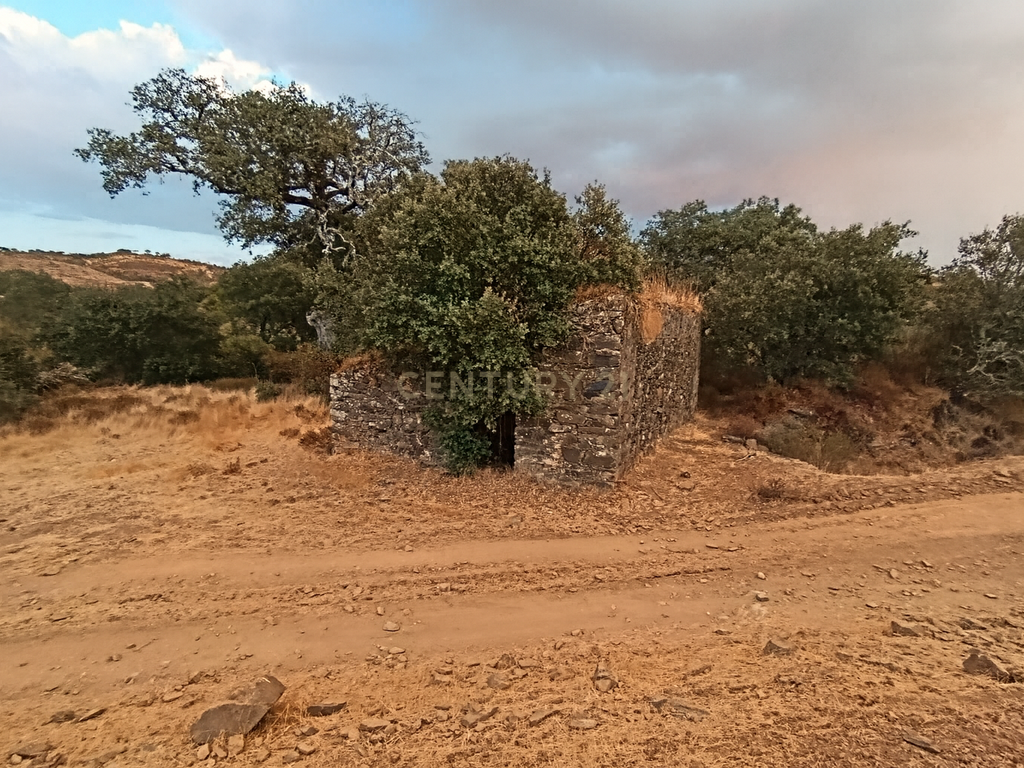 Terreno Misto, com 2 Ruínas, Moinho e Casa do Moleiro em Ribeira de Mira (Santa Clara-a-Nova). - Image 2