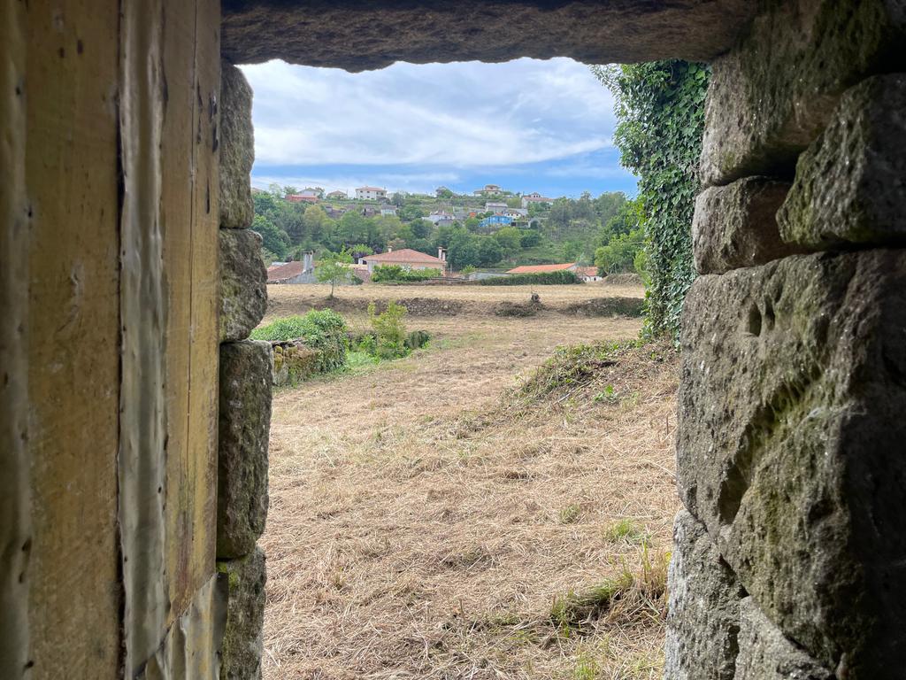 Propriedade com 1,8 hectares de área urbana e 3,2 hectares de solo fértil e floresta, composta por 8 edifícios independentes totalizando 700 m² de área construída, localizada no centro de Serrazes, São Pedro do Sul. - Image 43