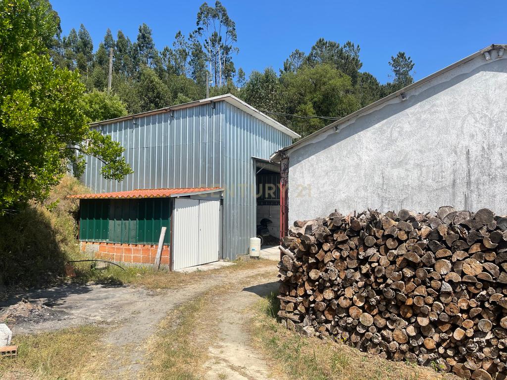 Terreno de 7.500 m² situado próximo ao lago, contendo uma casa a ser restaurada e um aviário automatizado altamente rentável. - Image 28