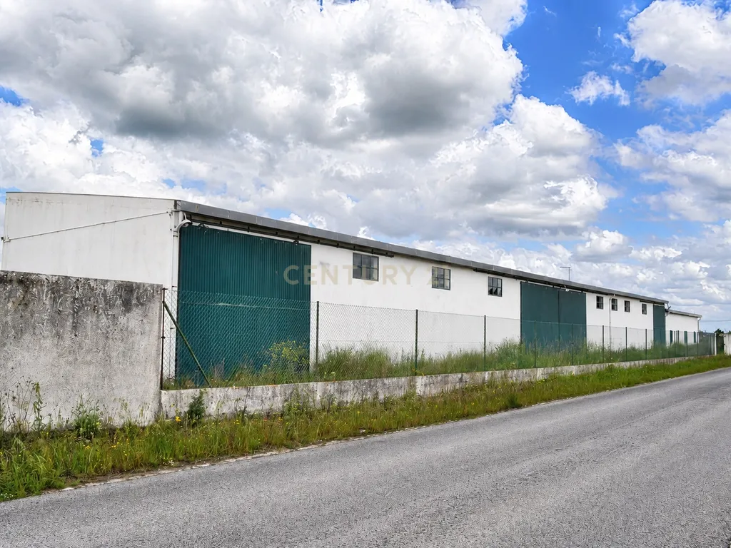 Armazém Agro-Industrial mais T1 e Terreno – Vale da Pedra, Cartaxo - Image 7