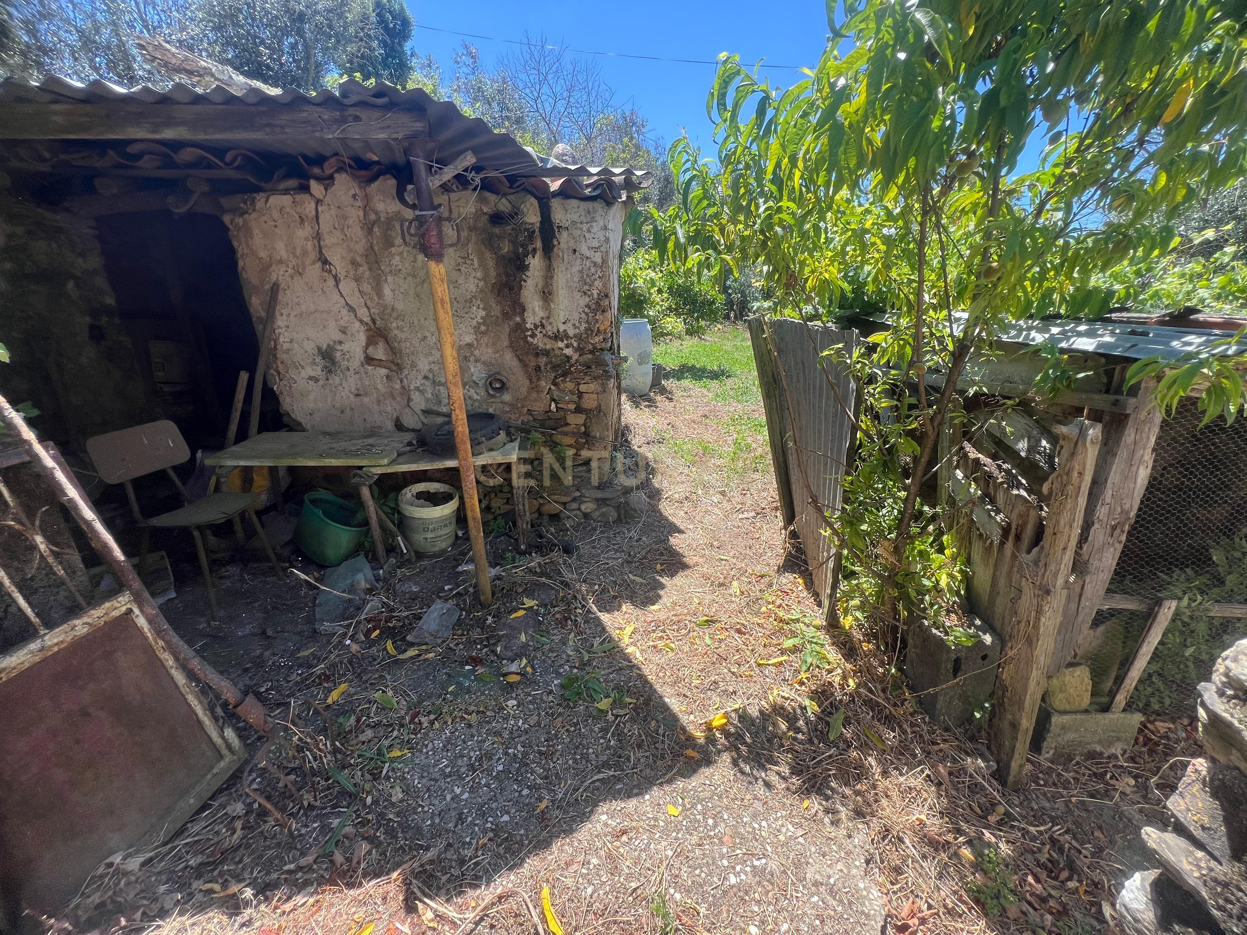 Casa para reconstrução total a 10 min da Praia Fluvial de Aldeia do Mato Abrantes - Image 13
