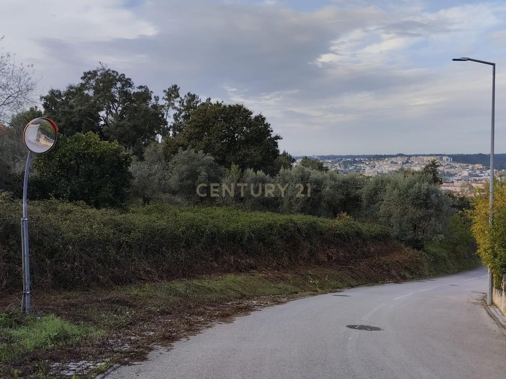 Terreno de construção habitacional em Pombal - Image 4