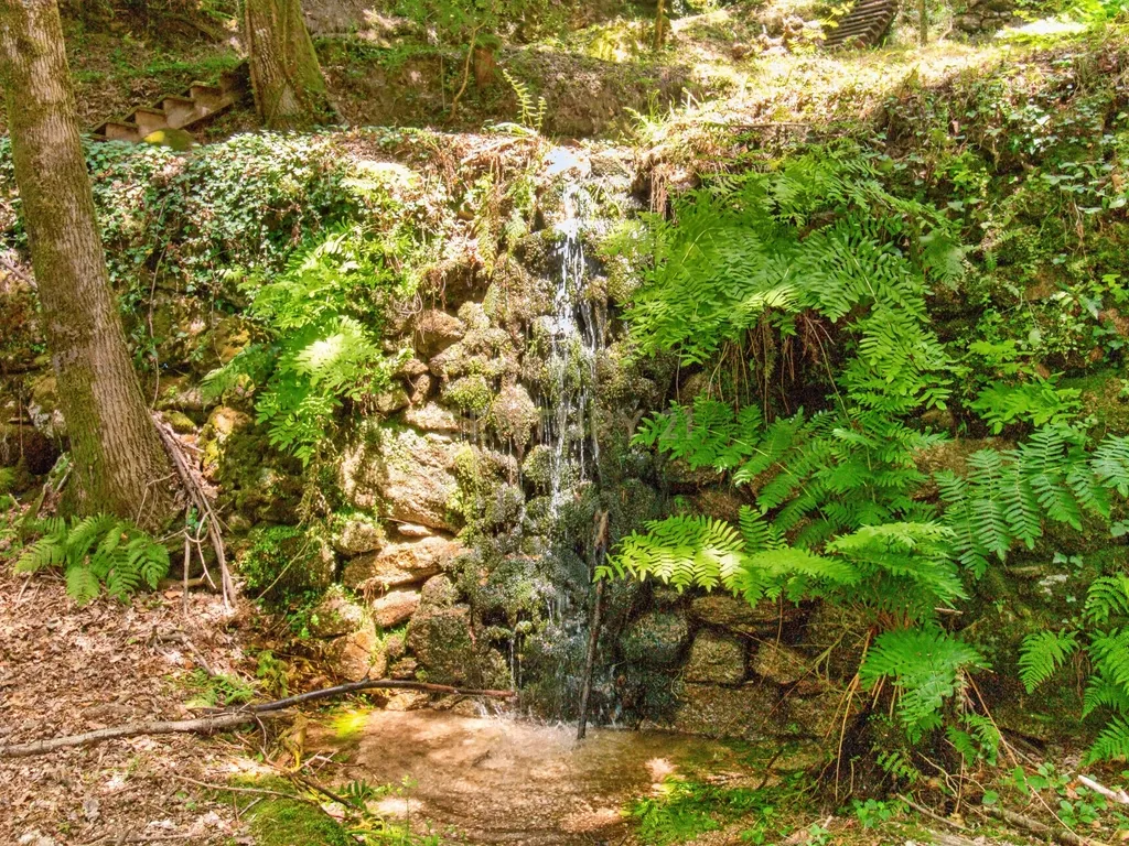 Duas Propriedades Únicas no Gerês com Acesso Direto ao Rio e Ancoradouro Privado - Image 16