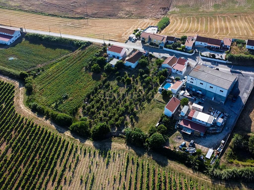Pequena Quinta em Bonabal – Ventosa, Torres Vedras - Image 7