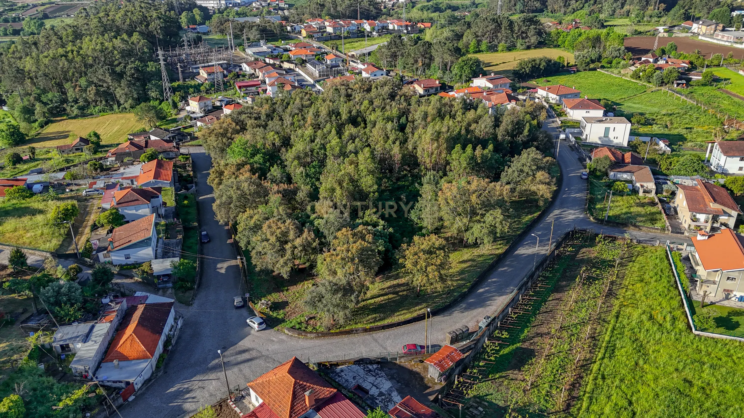 Terreno com 14.000m2 próximo ao Centro de Santo Tirso - Image 12