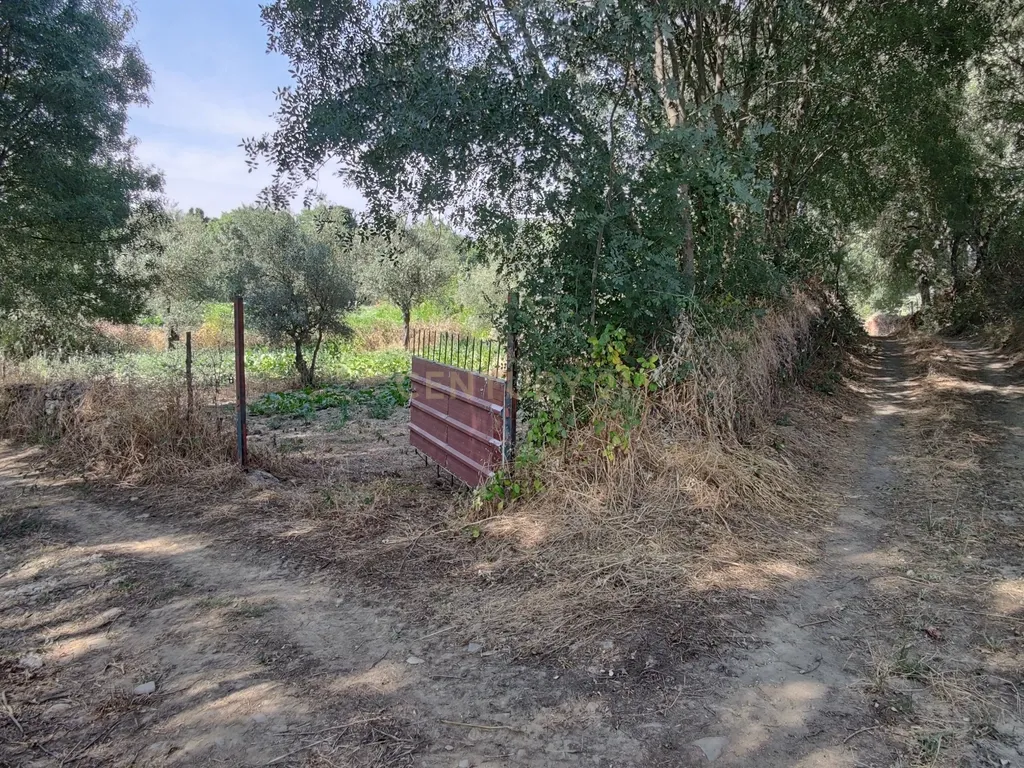Oportunidade! Terreno de regadio, Benquerença, Penamacor - Image 15