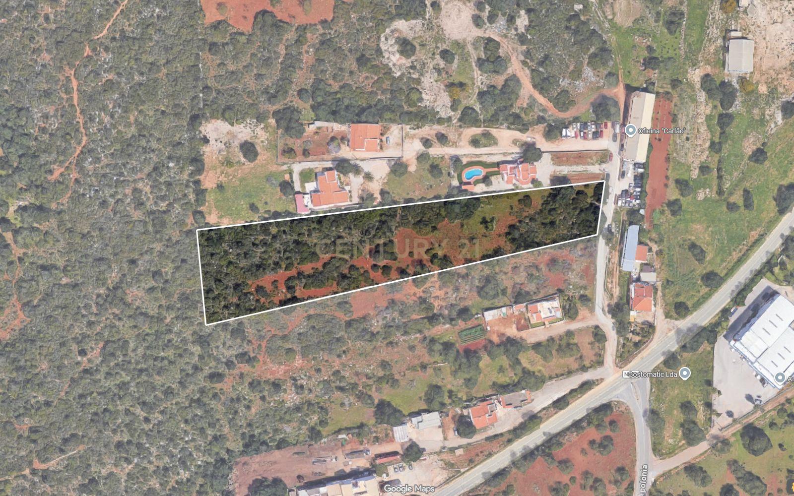 Fotografia 7 de Terreno com 9.135 m² em Boliqueime