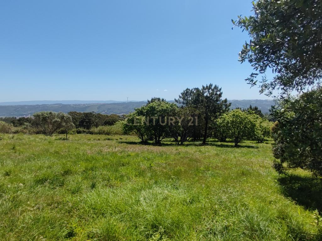 Terreno na Nazaré - Image 14