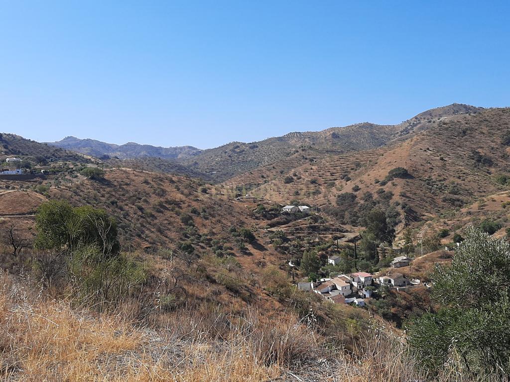 QUINTA RÚSTICA COM 11.000 m² DE TERRENO, PRIVACIDADE E VISTAS PANORÂMICAS EM ÁLORA - Image 21