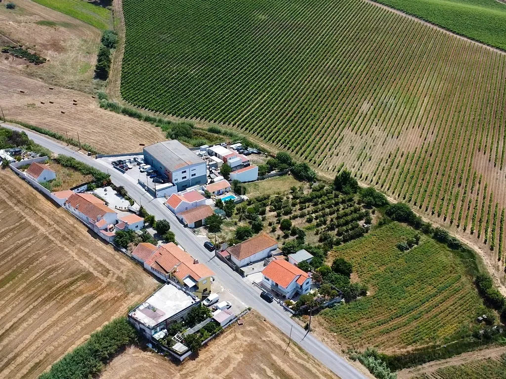 Quinta em Bonabal com Moradia T3 + Armazém + Terreno com mais de 3 400m2 - Image 18