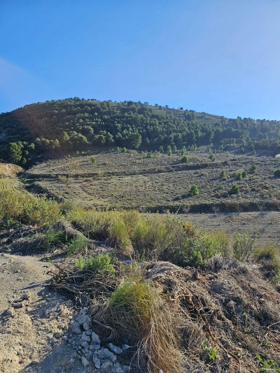 undefined - Image 12