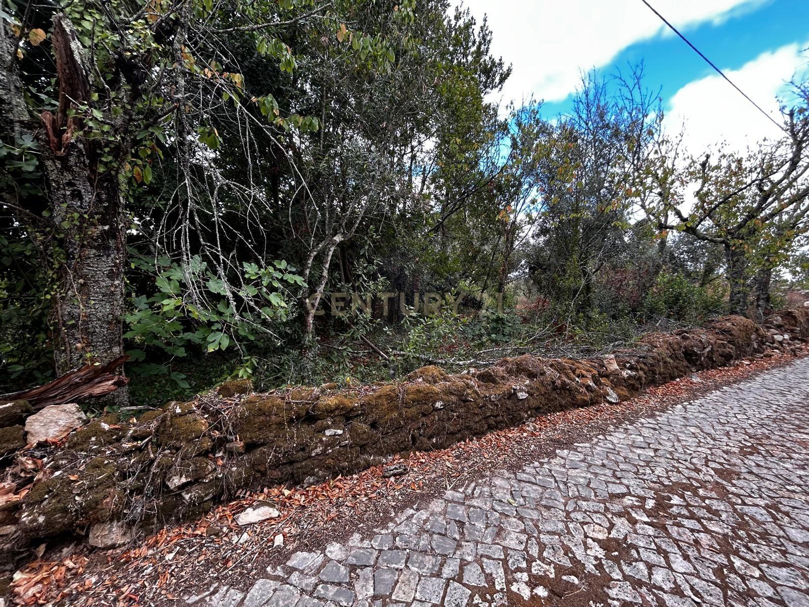 Fotografia 7 de Terreno com Ruína em Pussos São Pedro, Alvaiázere