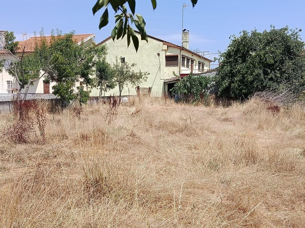 Moradia T4 com Terreno - Salsas - Bragança - Image 22