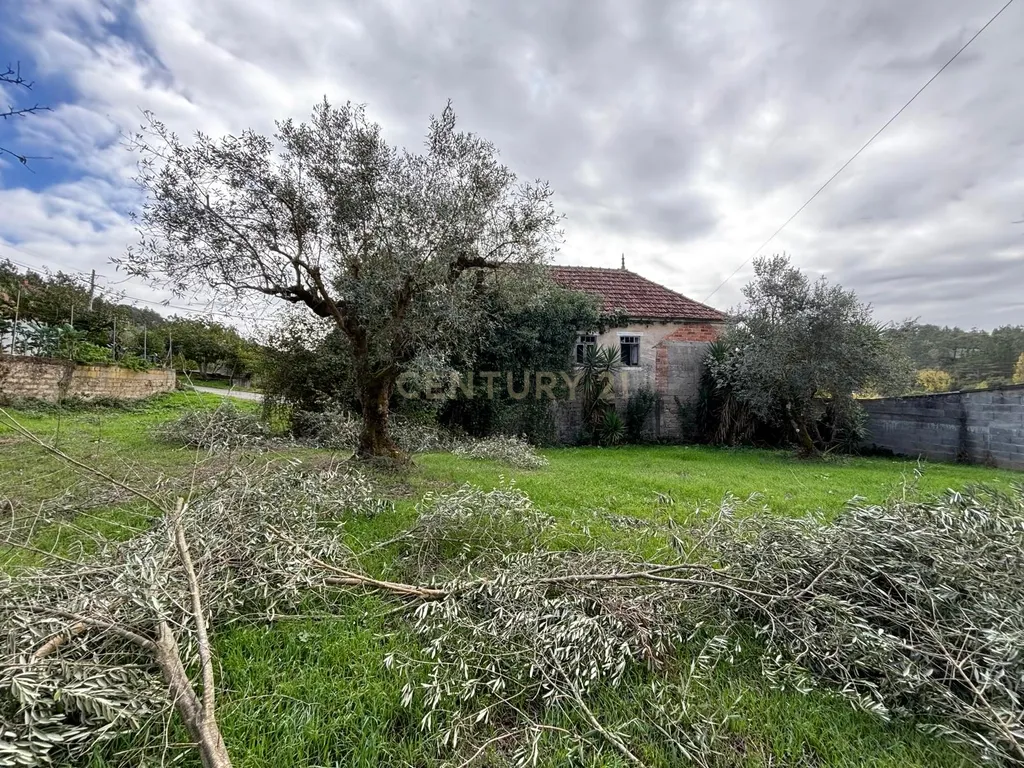 Moradia em ruína para recuperação em Pombal, Leiria - Image 19