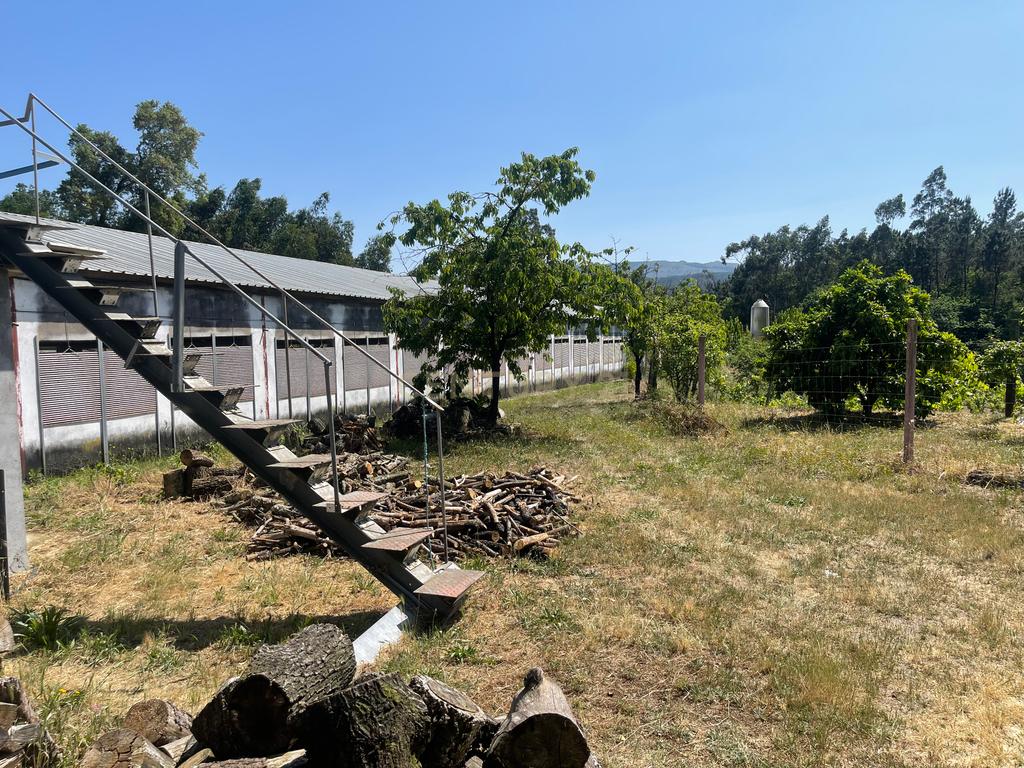 Terreno de 7.500 m² situado próximo ao lago, contendo uma casa a ser restaurada e um aviário automatizado altamente rentável. - Image 26