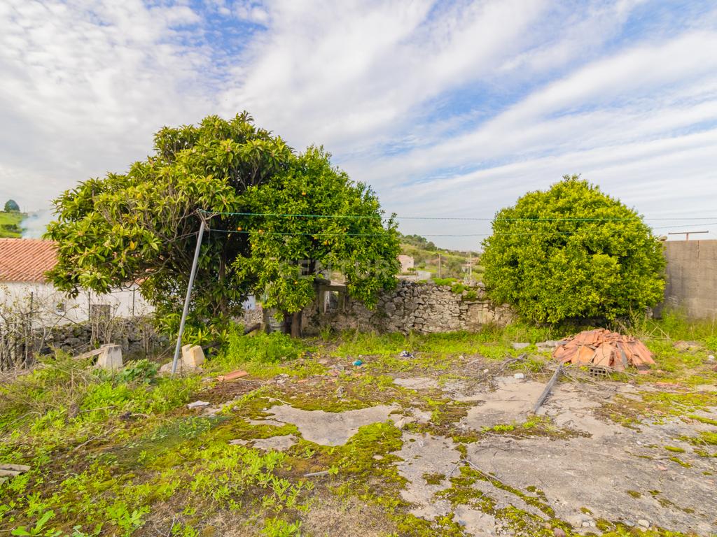 Ruína para Venda no Carvalhal de Ajubarrota - Image 14