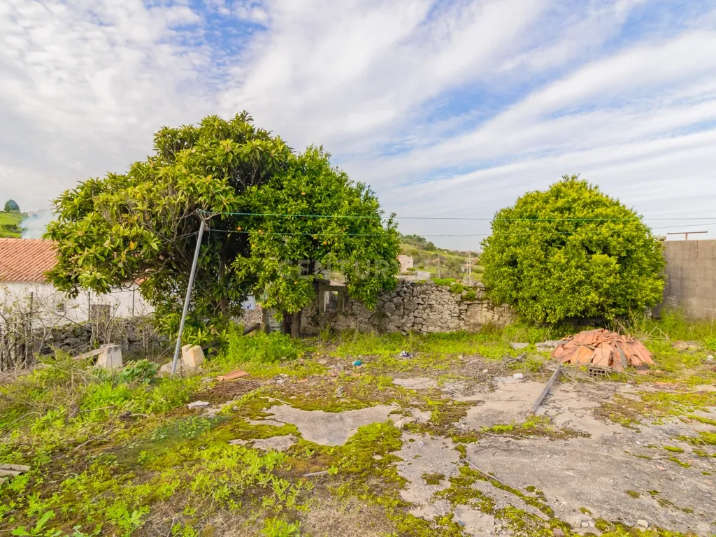Ruína para Venda no Carvalhal de Ajubarrota - Image 14