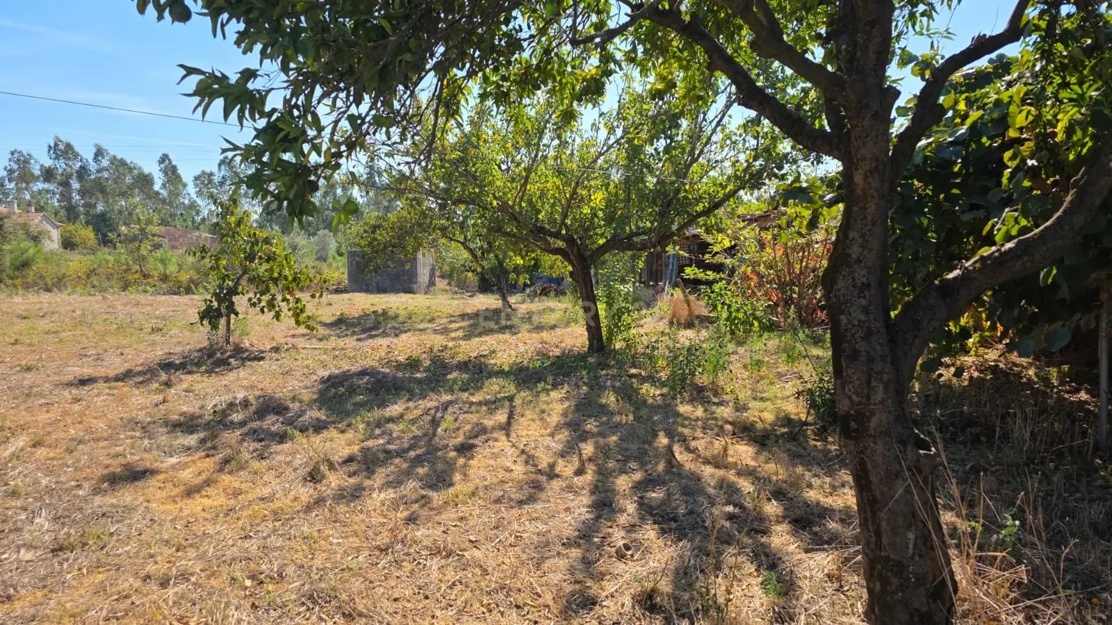 Moradia T2 à venda em Almagreira, Pombal — foto 37