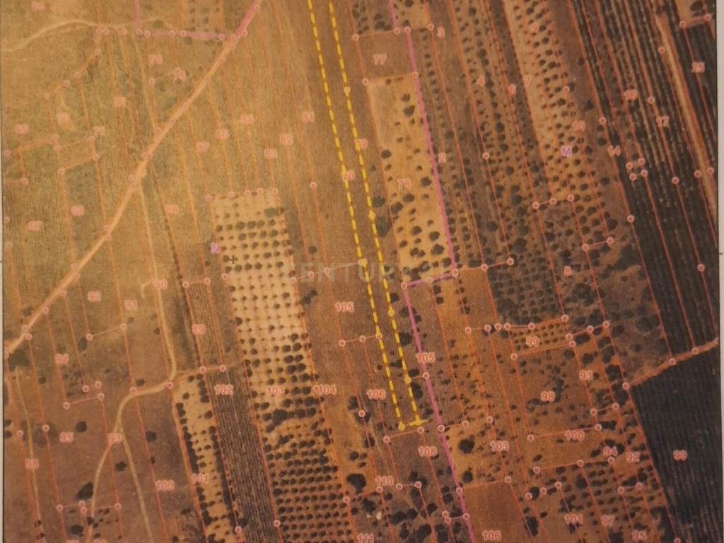 Terreno Rústico com Grande Potencial Agrícola – 7.800 m² em Paderne, Albufeira - Image 10