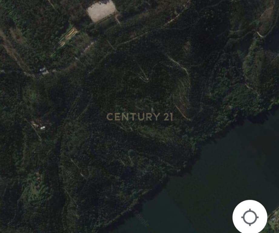 Terreno Rústico em Gondomar - Oportunidade Única por 75.000€ - Image 10