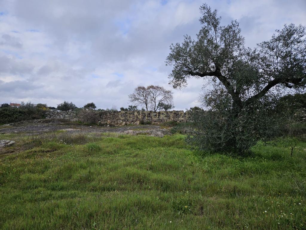 Quintinha na Lousa, Castelo Branco - Image 5