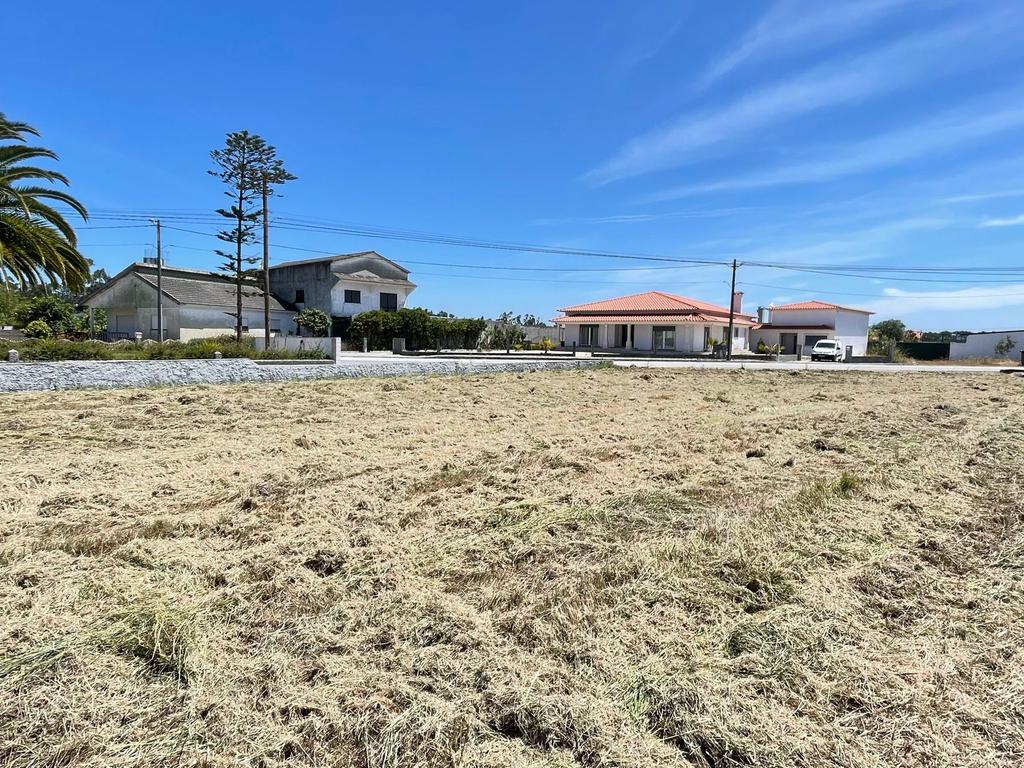 Terreno  para construção -Grou-Guia-Pombal - Image 7