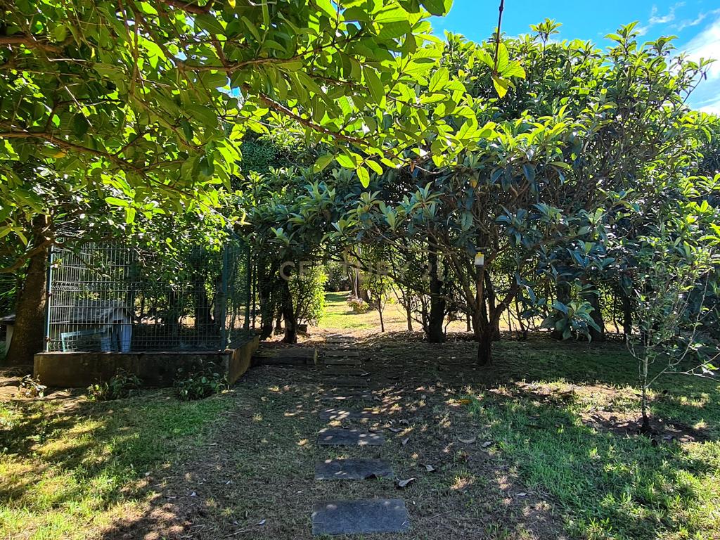 Country House em São Miguel, Açores: Refúgio Privado de Charme com piscina e quinta - Image 78
