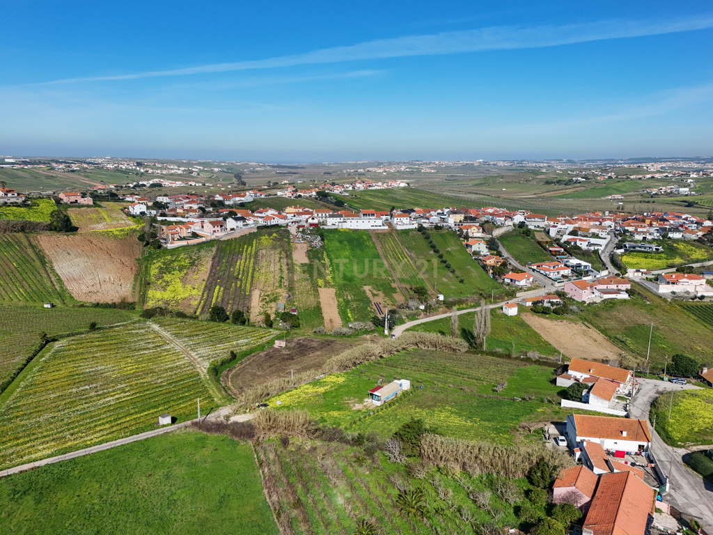 Terreno para Construção - Casal da Serpegeira, Ventosa (Torres Vedras) - Image 2