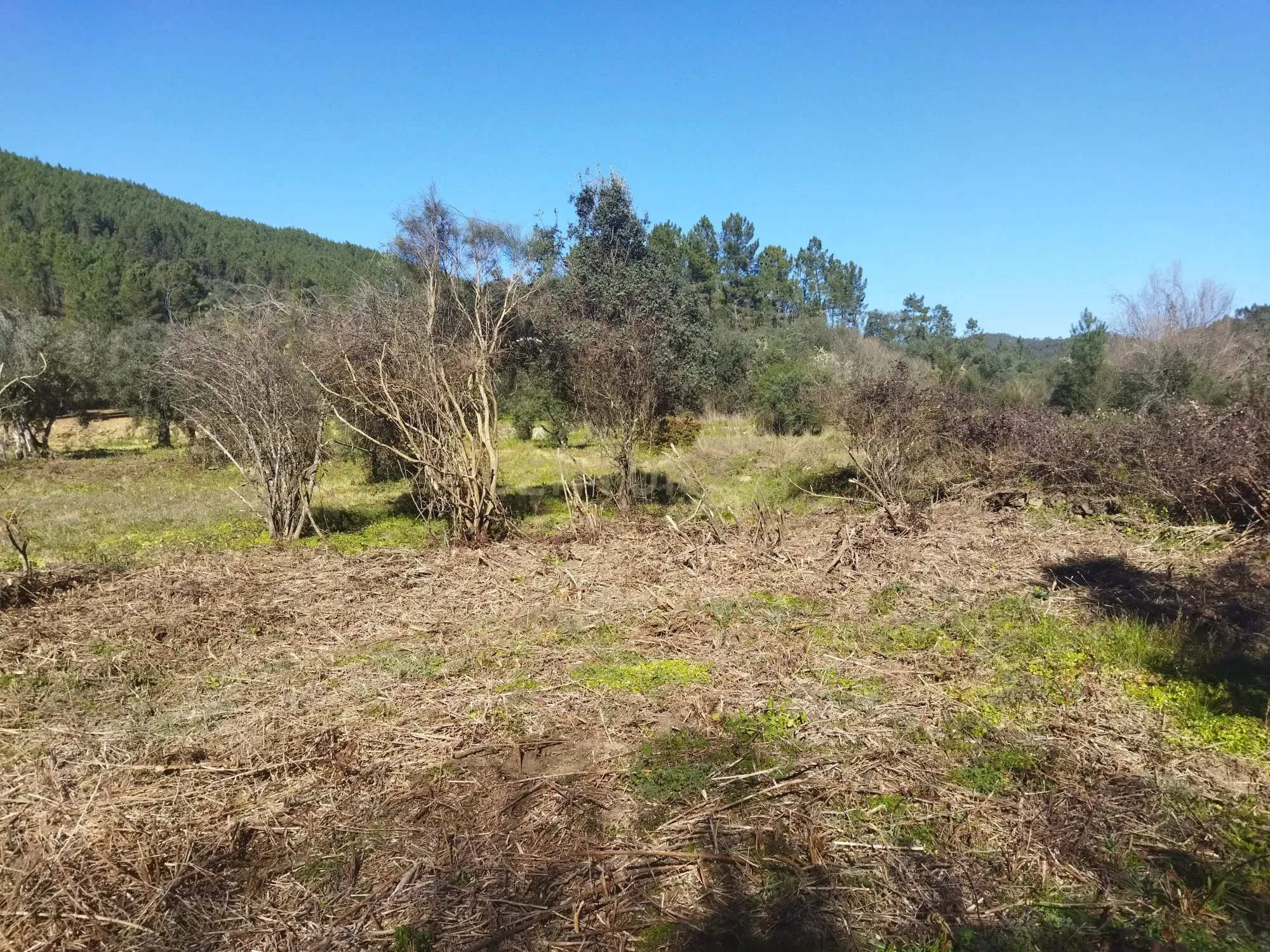 Quintinha em Sesmo, Junto á praia fluvial, Sarzedas - Image 26