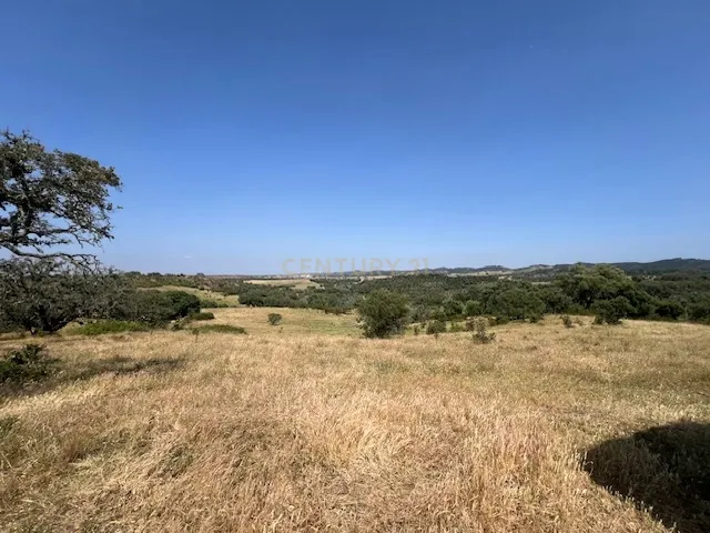Herdade com 59,225 ha , 687m2 urbano, nascente de água, em Colos, Odemira - Image 49