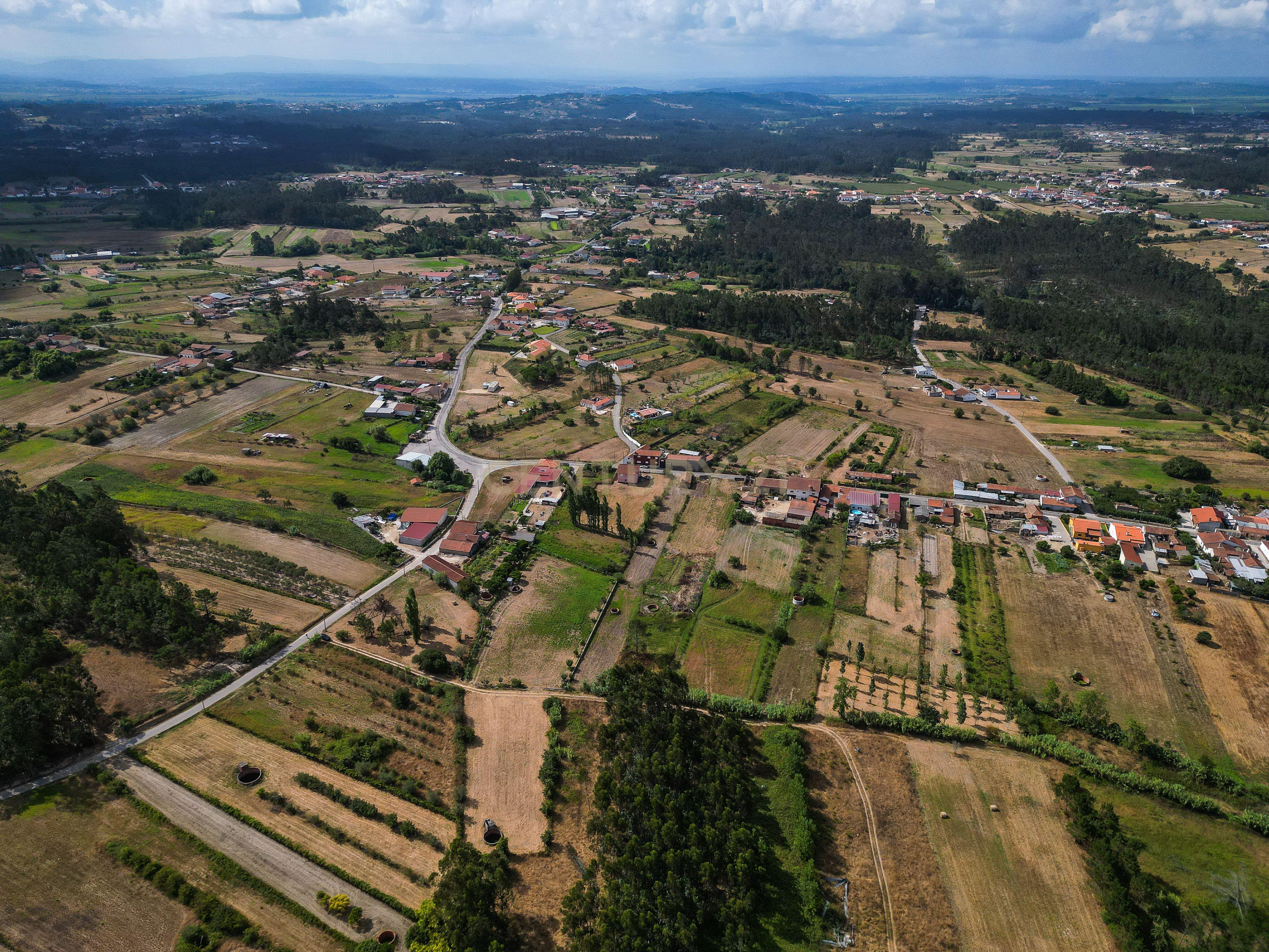 Fotografia 5 de Terreno de cultivo com poço em Cabeça Alta – Seixo de Gatões, Montemor-o-Velho