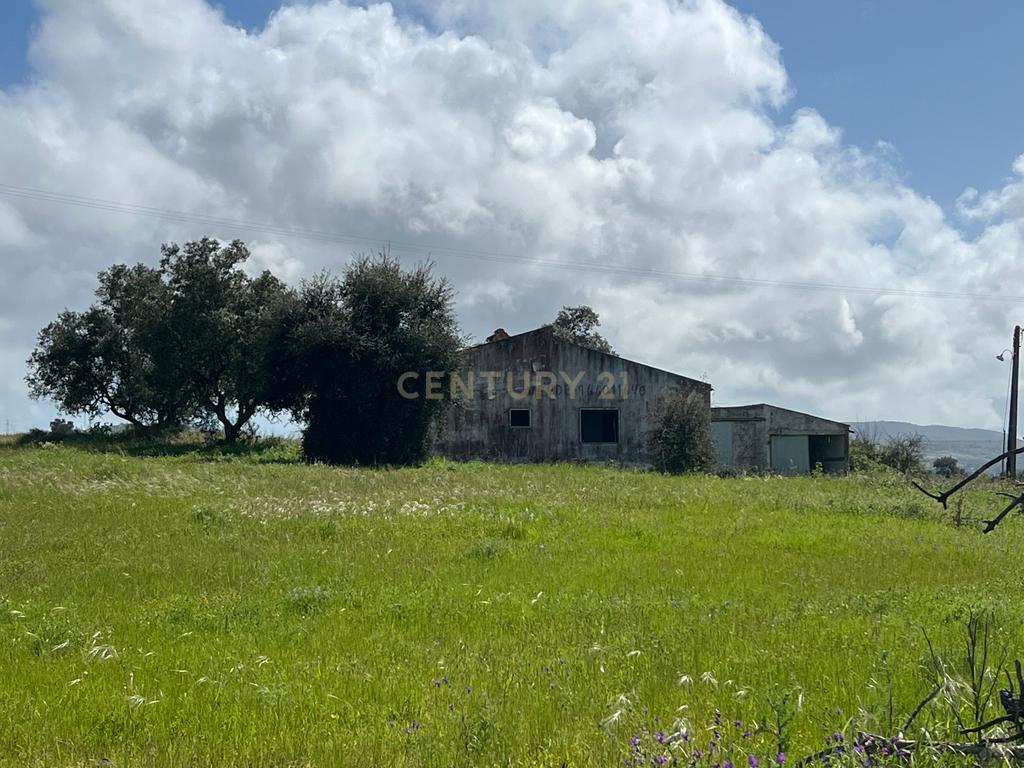 Terreno Industrial de 20.500 m² em Localização Estratégica - Image 3