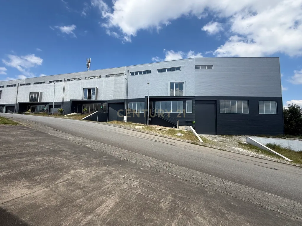 ARMAZÉM INDUSTRIAL | SANTO TIRSO | INVESTIMENTO / LOGÍSTICA / COMÉRCIO E INDÚSTRIA - Image 3