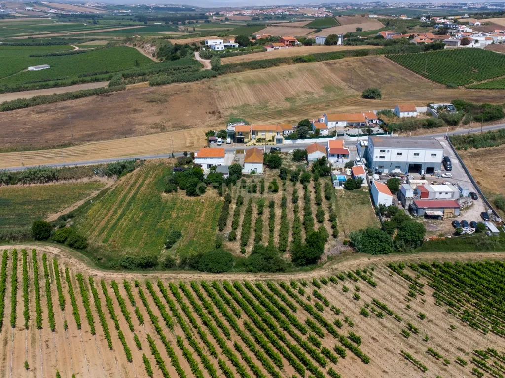Pequena Quinta em Bonabal – Ventosa, Torres Vedras - Image 9