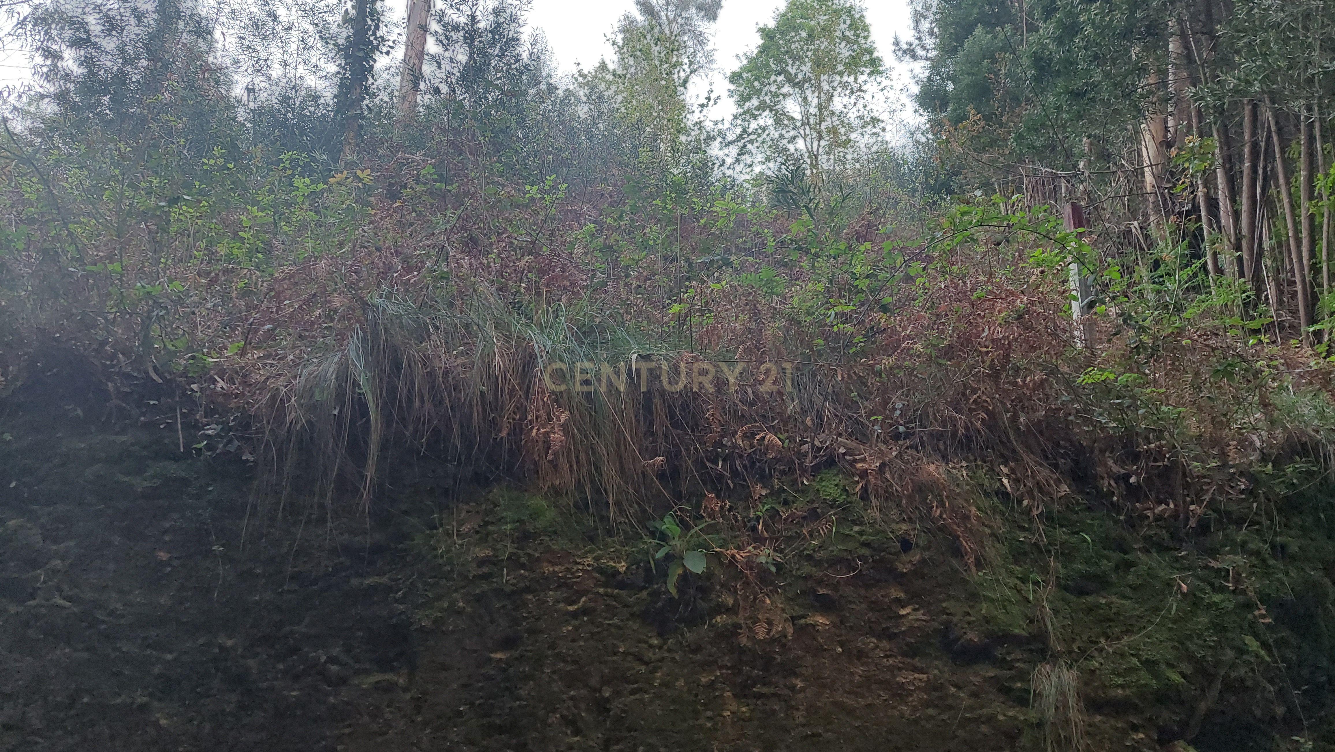 Terreno Rustico em Crestuma, Vila Nova de Gaia - Image 3