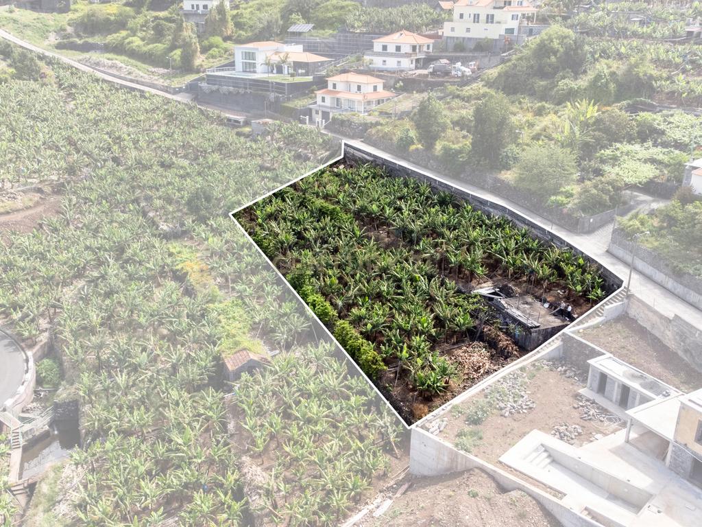Terreno para construção 1946m2 - Arco da Calheta - Image 6