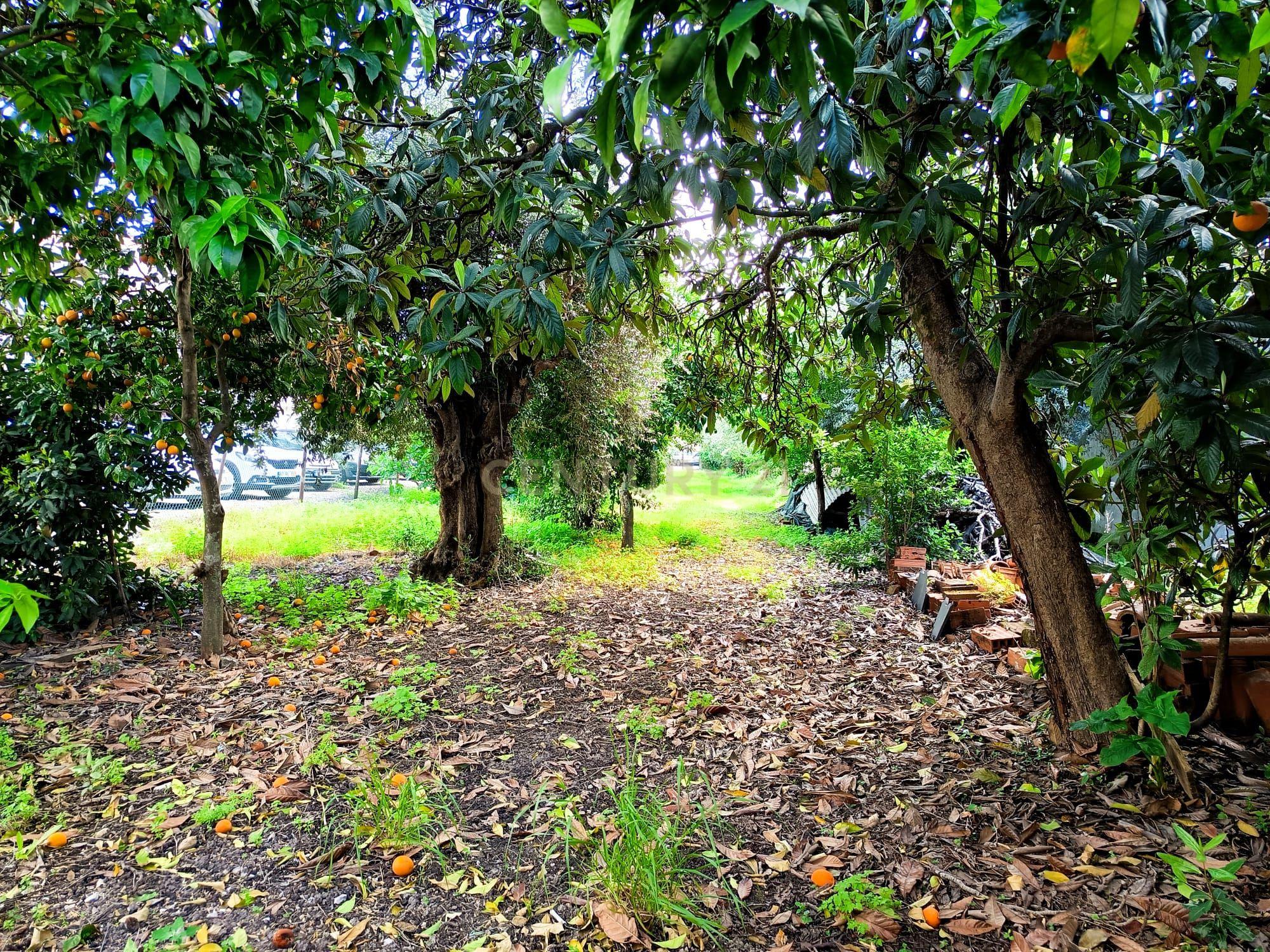Fotografia 6 de Oportunidade de Investimento: Terreno para Construção em Localização Premium