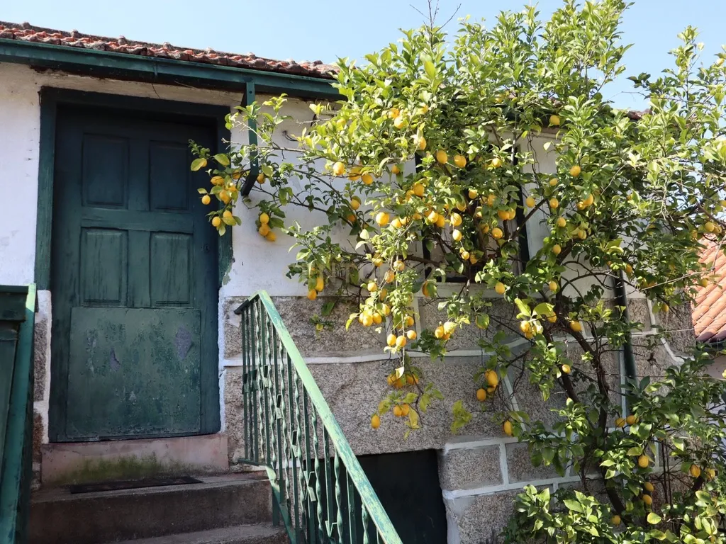 Casinha rústica para restauro em Ovelhinha, Gondar, no concelho de Amarante - Image 3