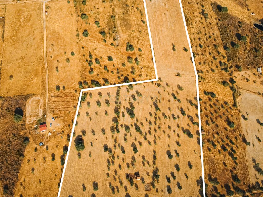 Propriedade rústica com potencial agrícola, habitacional e turístico – 3,12 hectares – Nisa - Image 14