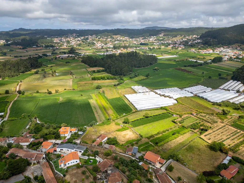 Terreno Panorâmico em Vila Cova - Barcelos com vista desafogada - 69.000€ - Image 11