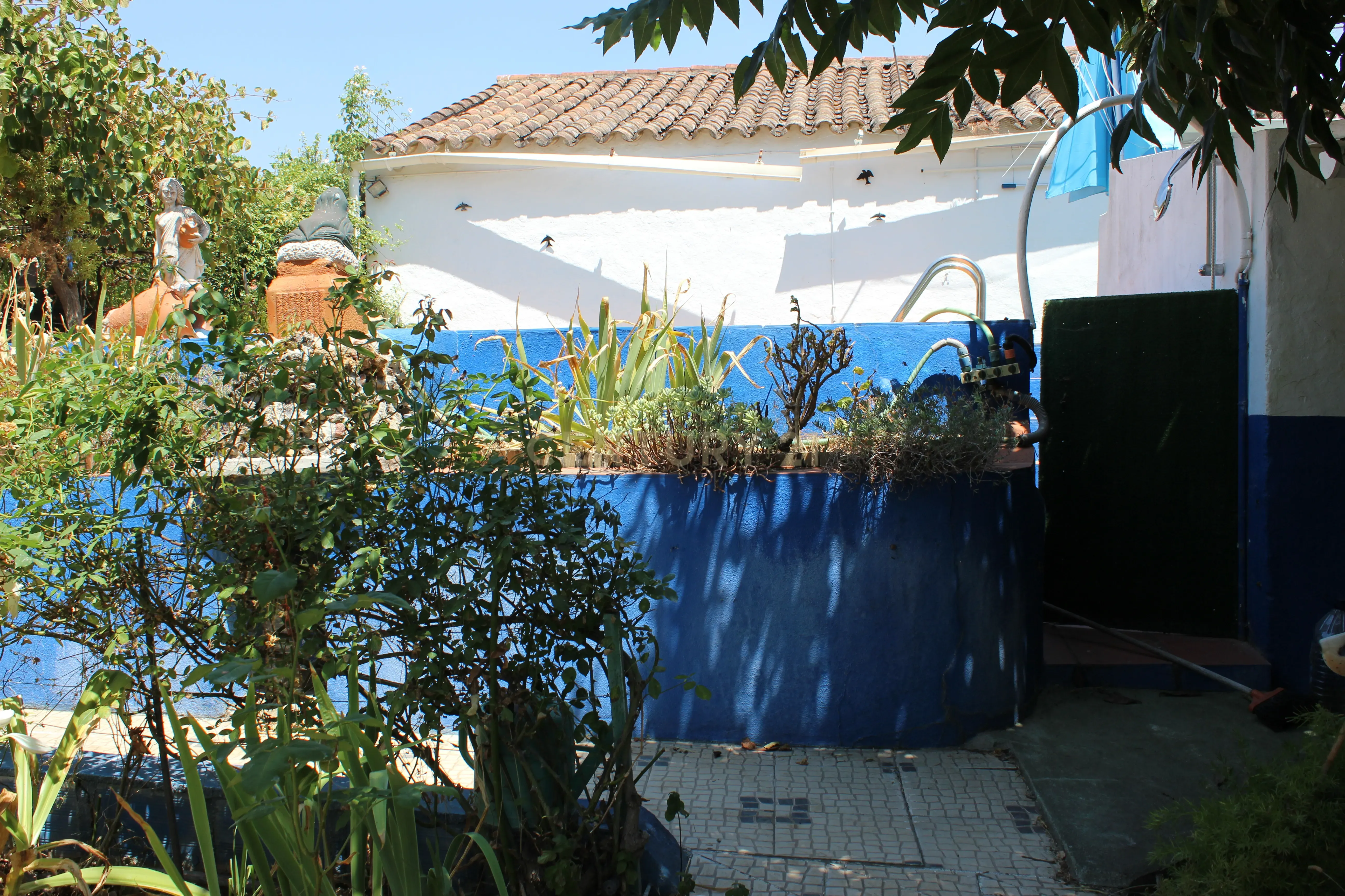 Fotografia 3 de Moradia T4 com terreno de 1.050m2 em Cano (Sousel)