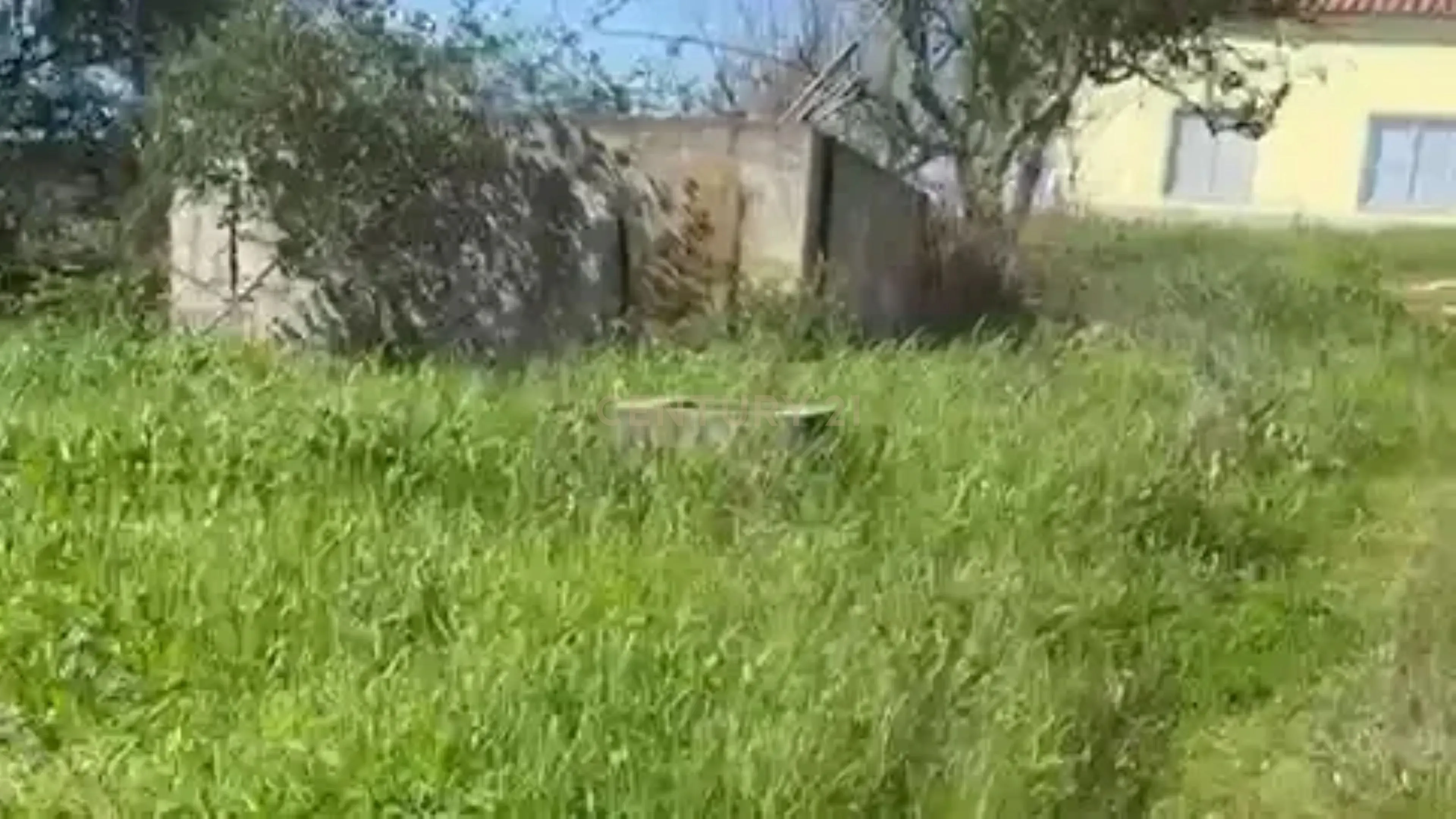 Terreno para Reconstrução, com Água, Natureza e bons acessos, em Cravais de Cima, Salir, Loulé, Algarve.