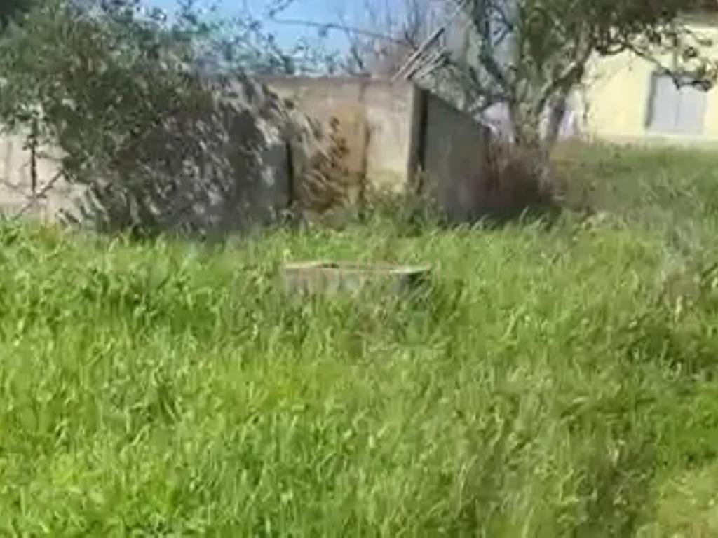 Terreno para Reconstrução, com Água, Natureza e bons acessos, em Cravais de Cima, Salir, Loulé, Algarve. - Image 1
