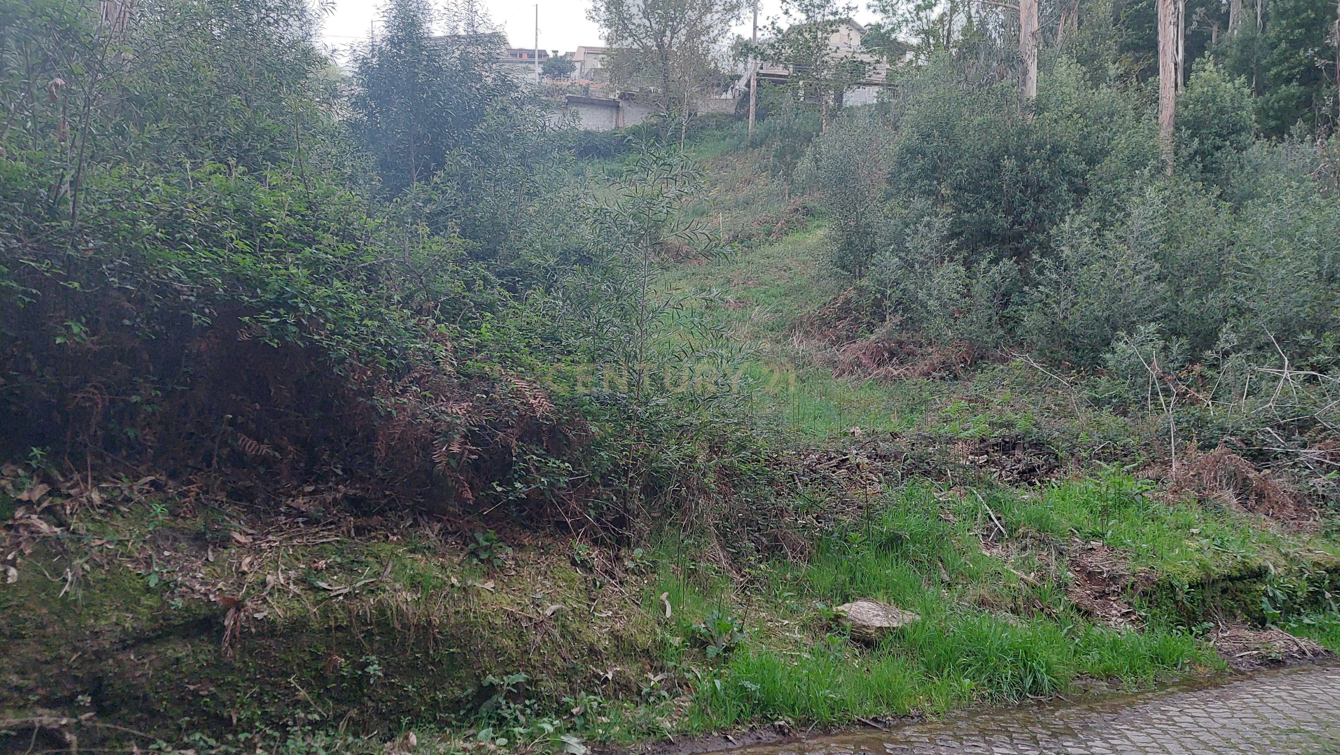 Terreno Rustico em Crestuma, Vila Nova de Gaia - Image 9